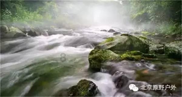 拯救可爱小鳄鱼